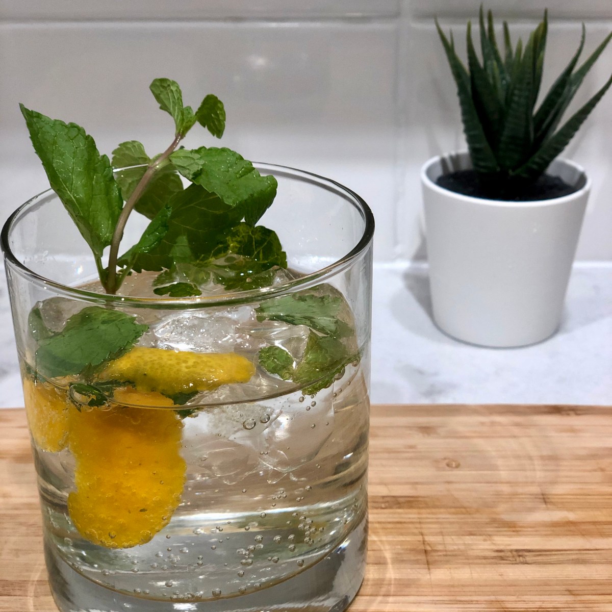 Orange Mint Gin &&nbsp;Tonic